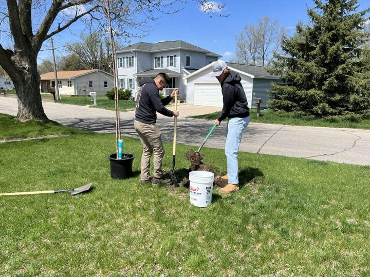 Two people planting a tree