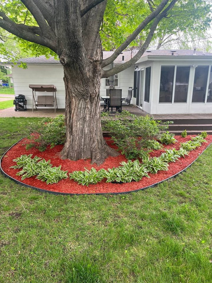 Landscaping around tree