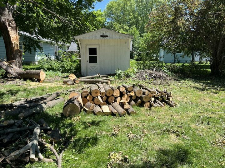 Damaged tree cut into pieces